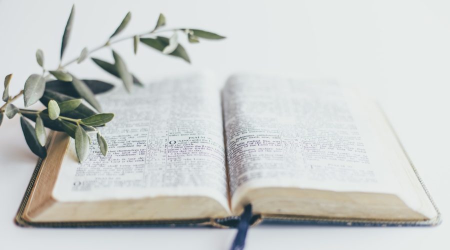Why Should We Study the Bible?